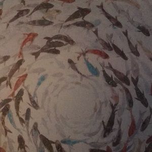 Meet your Posher, Tim